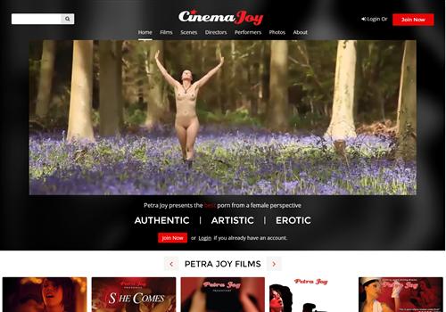 German feminist porn video on Cinema Joy