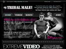 BDSM Male website Tribal Male